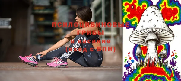a pvp Верея