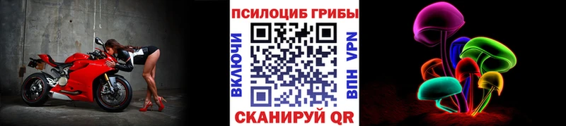 как найти закладки  Нурлат  Галлюциногенные грибы MAGIC MUSHROOMS 