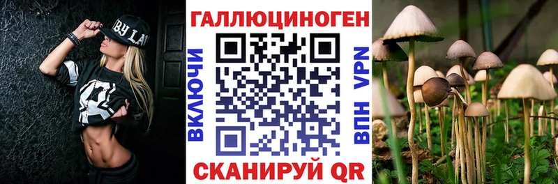 Галлюциногенные грибы Cubensis Нурлат